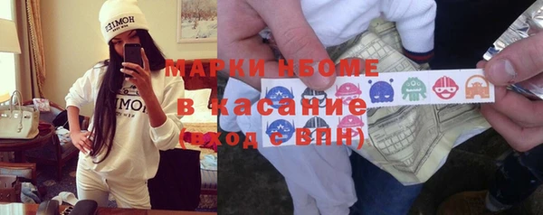 индика Михайлов