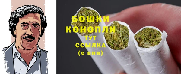 стафф Михайловск