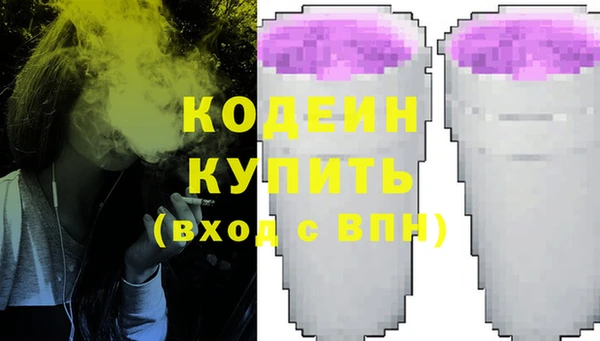 индика Михайлов
