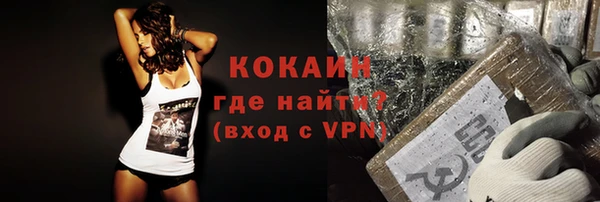 индика Михайлов