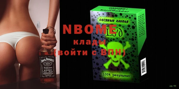 индика Михайлов