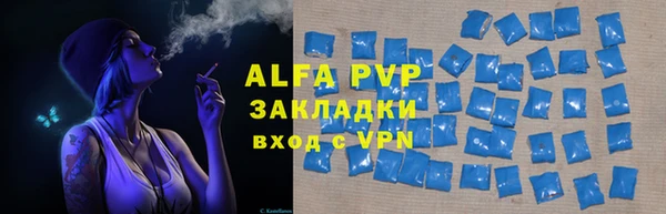 стафф Михайловск