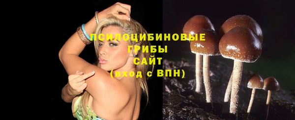 индика Михайлов