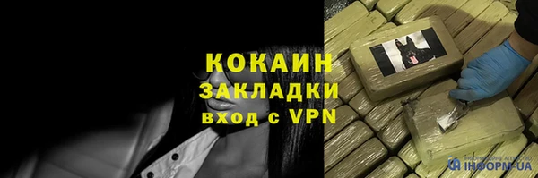 индика Михайлов