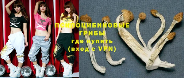 индика Михайловка