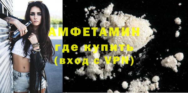 индика Михайлов
