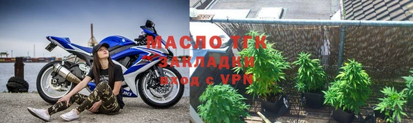 индика Михайлов
