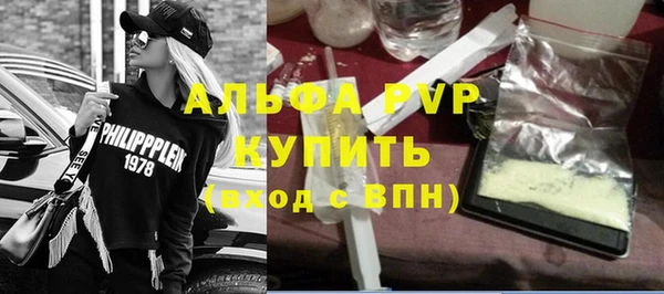 индика Михайлов