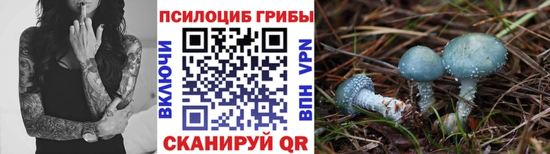 Галлюциногенные грибы Psilocybine cubensis  Скопин 